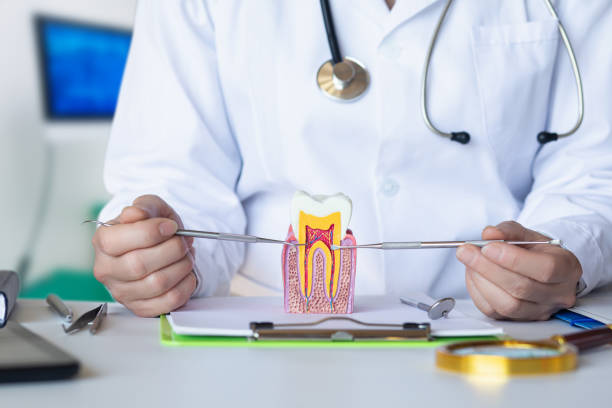Best Emergency Dental Extractions in Penn Yan, NY